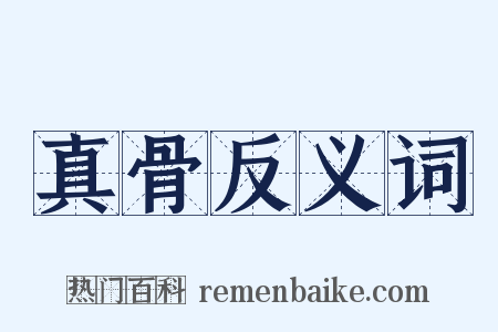 真骨反义词是什么意思的图片